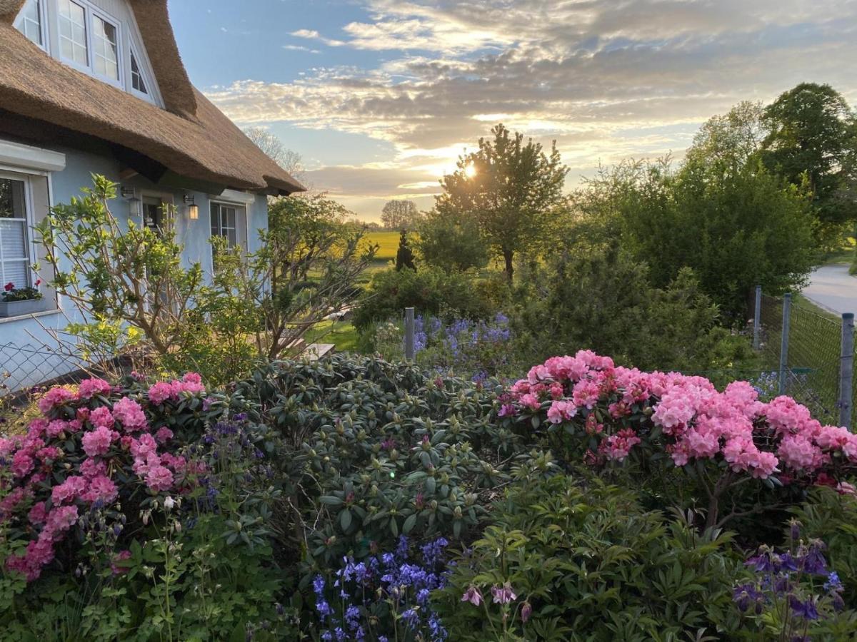 Reethaus Vilmnitz - Ferienwohnung Vilm Buitenkant foto